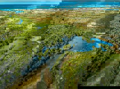 328263565_1351117472313158_6296702994462717847_n